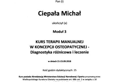 Michał-Moduł 3 kurs terapii manualnej w koncepcji osteopatycznej